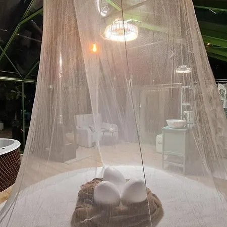 Hotel Remanso De Trasfontao_Nido 360° Silleda Zewnętrze zdjęcie